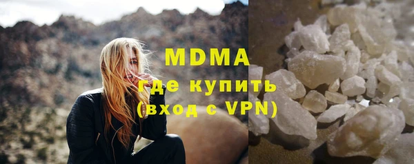 индика Алексин