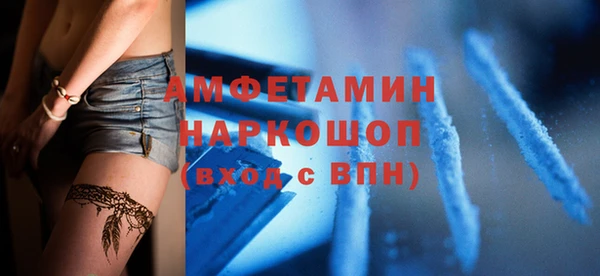 индика Алексин
