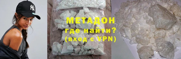 индика Алексин
