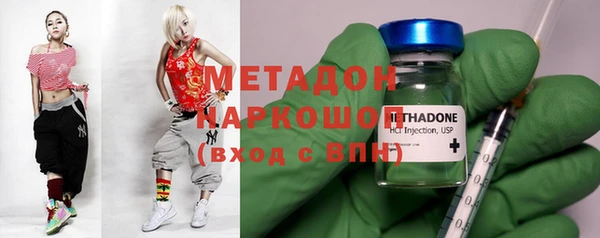 индика Алексин