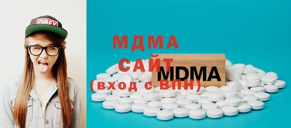 индика Алексин
