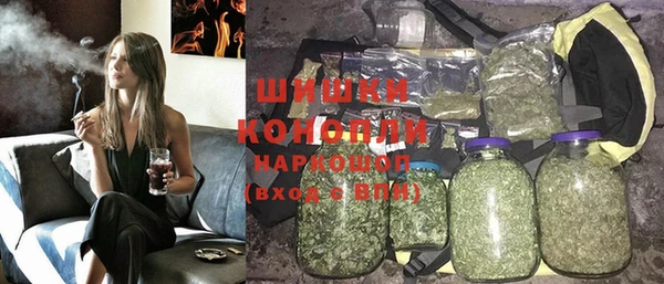 индика Алексин