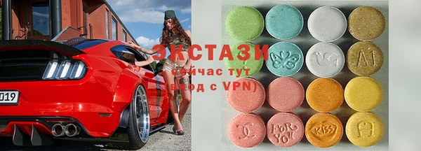 индика Алексин