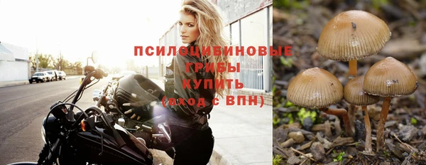 индика Алексин